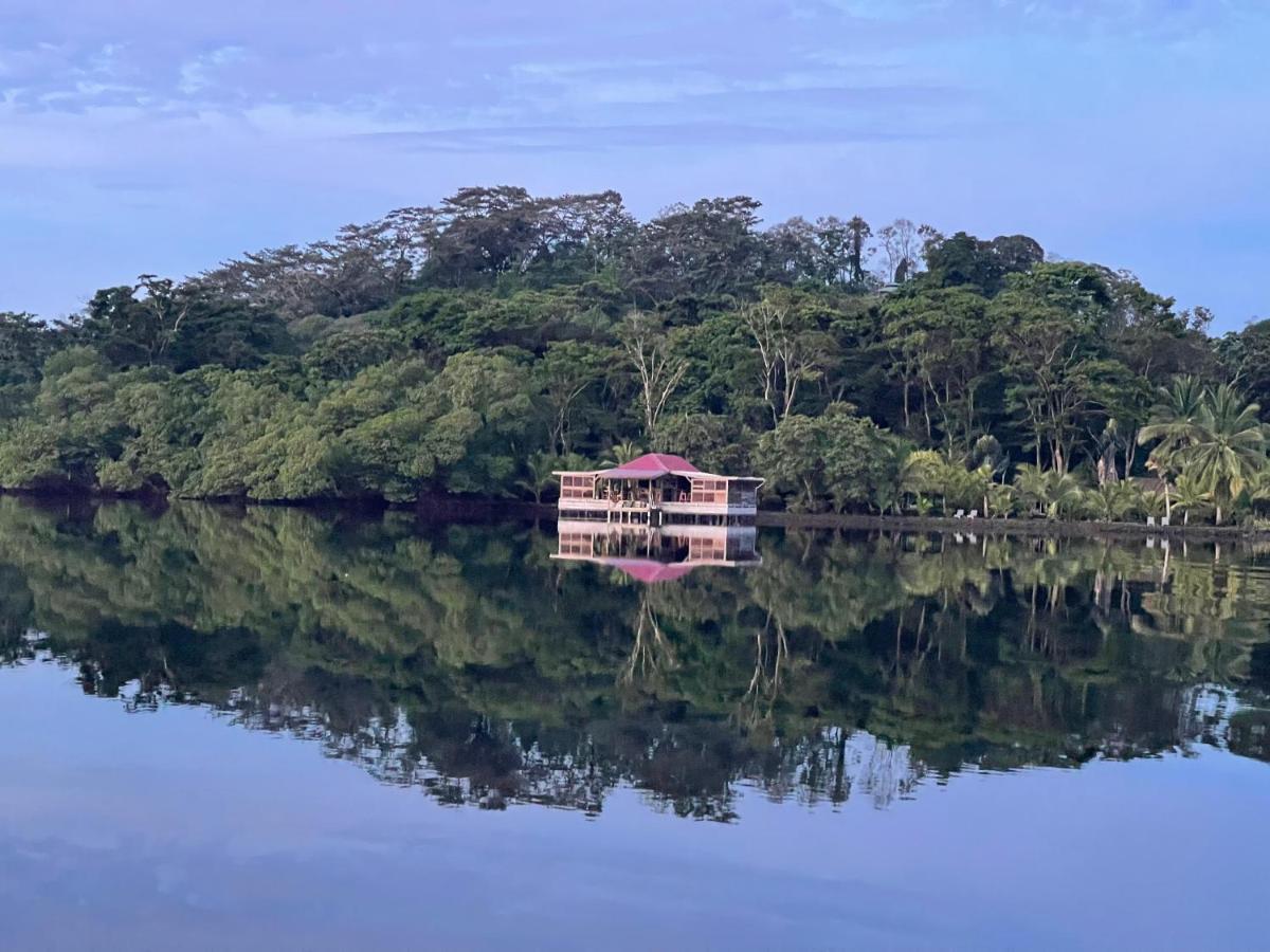Dolphin Blue Paradise Bocas del Toro Buitenkant foto