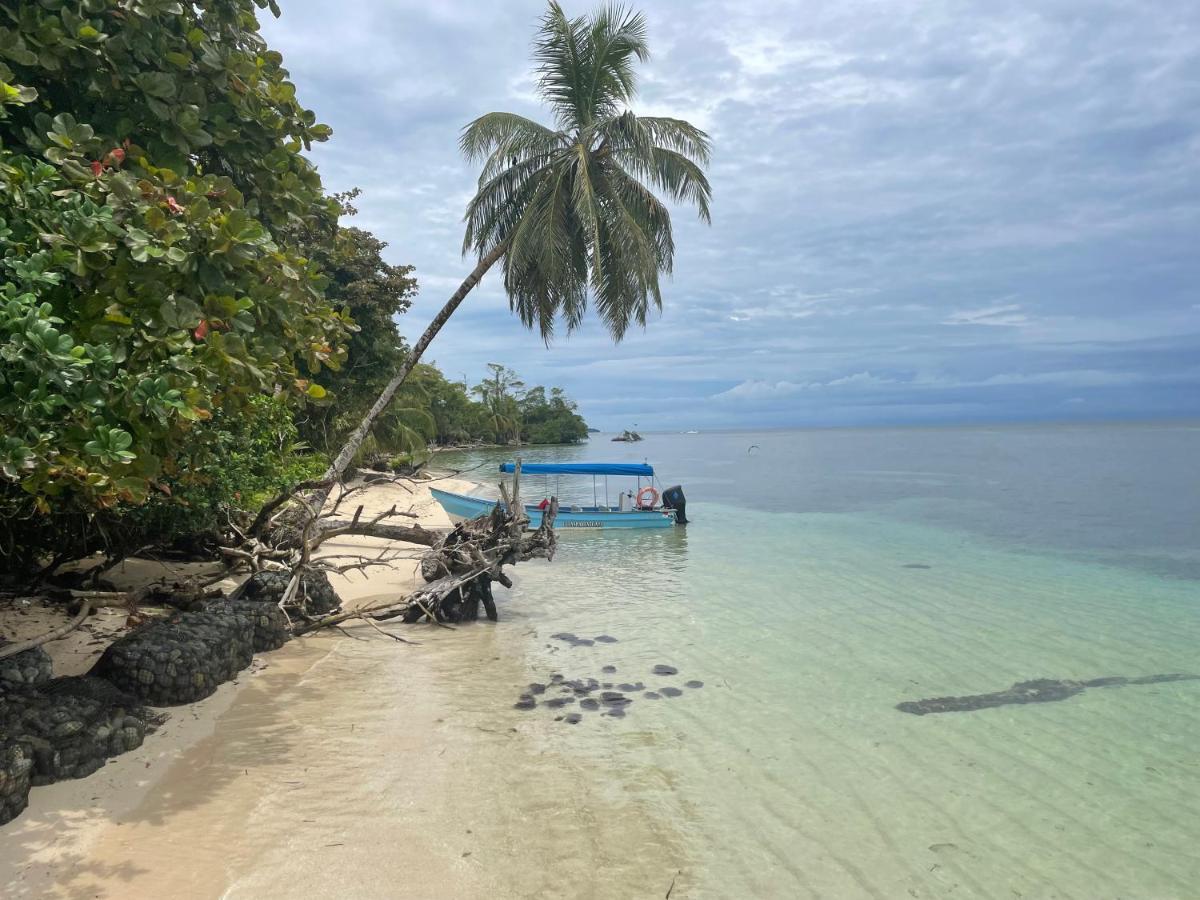 Dolphin Blue Paradise Bocas del Toro Buitenkant foto