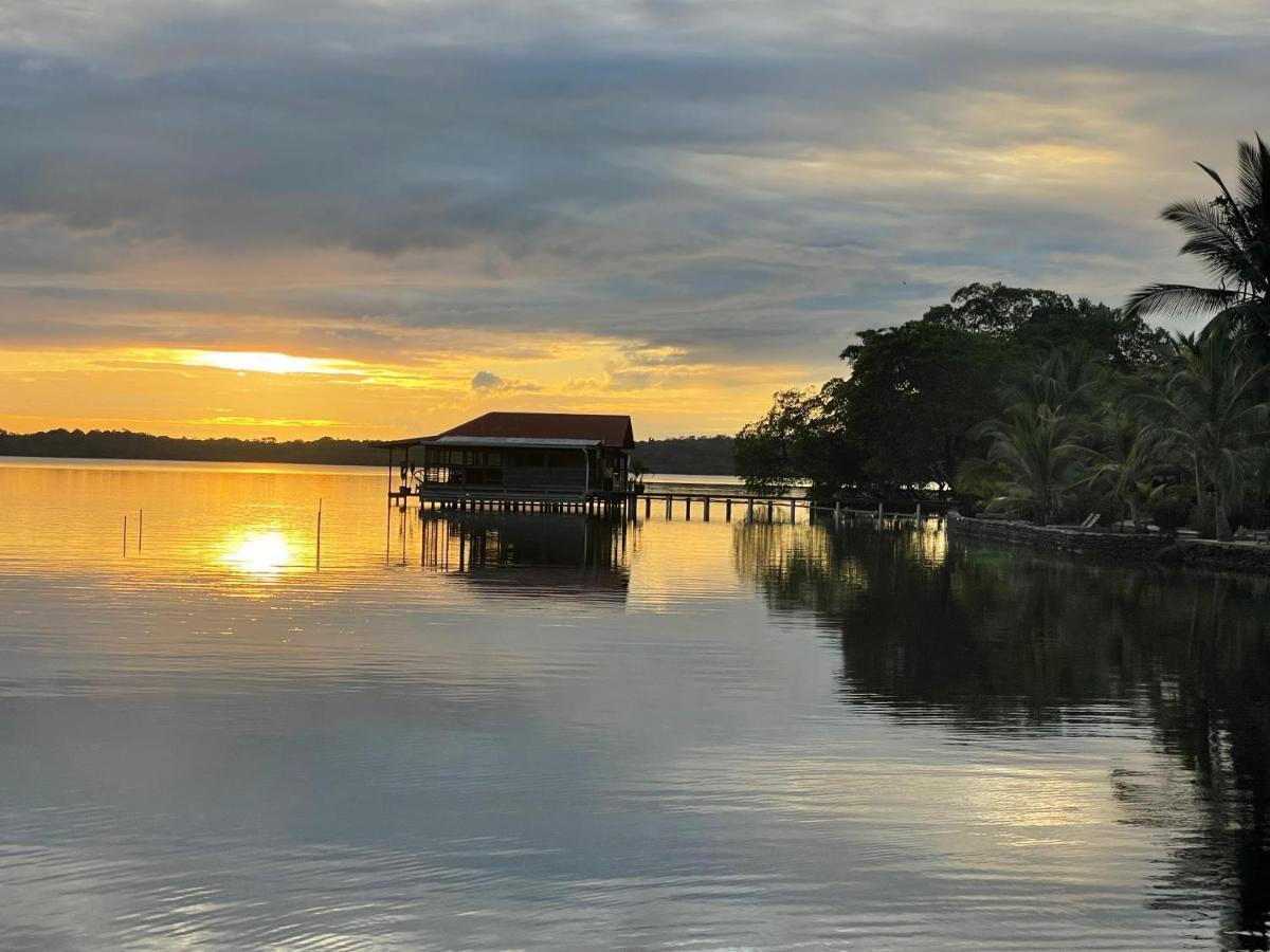 Dolphin Blue Paradise Bocas del Toro Buitenkant foto