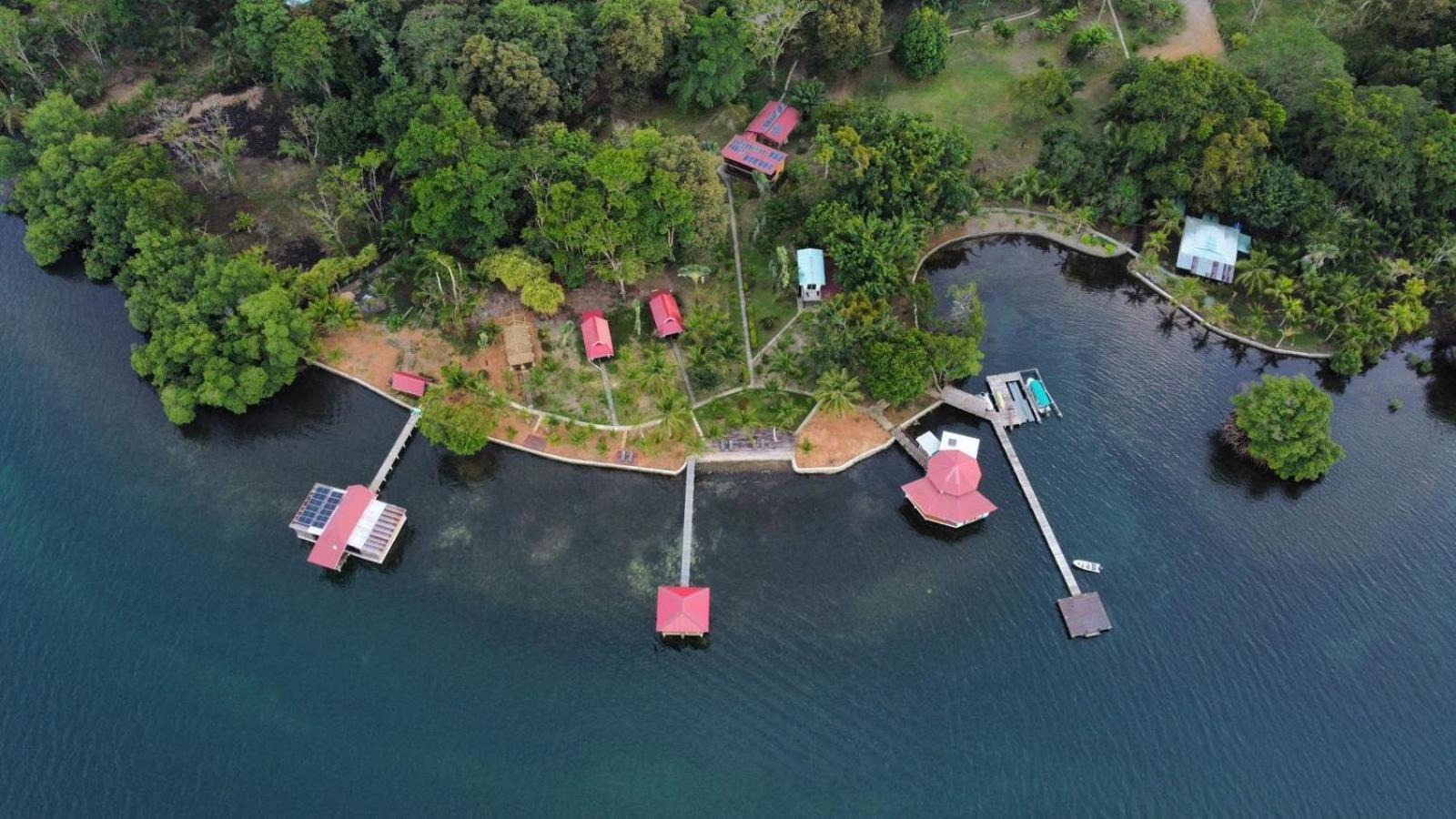 Dolphin Blue Paradise Bocas del Toro Buitenkant foto