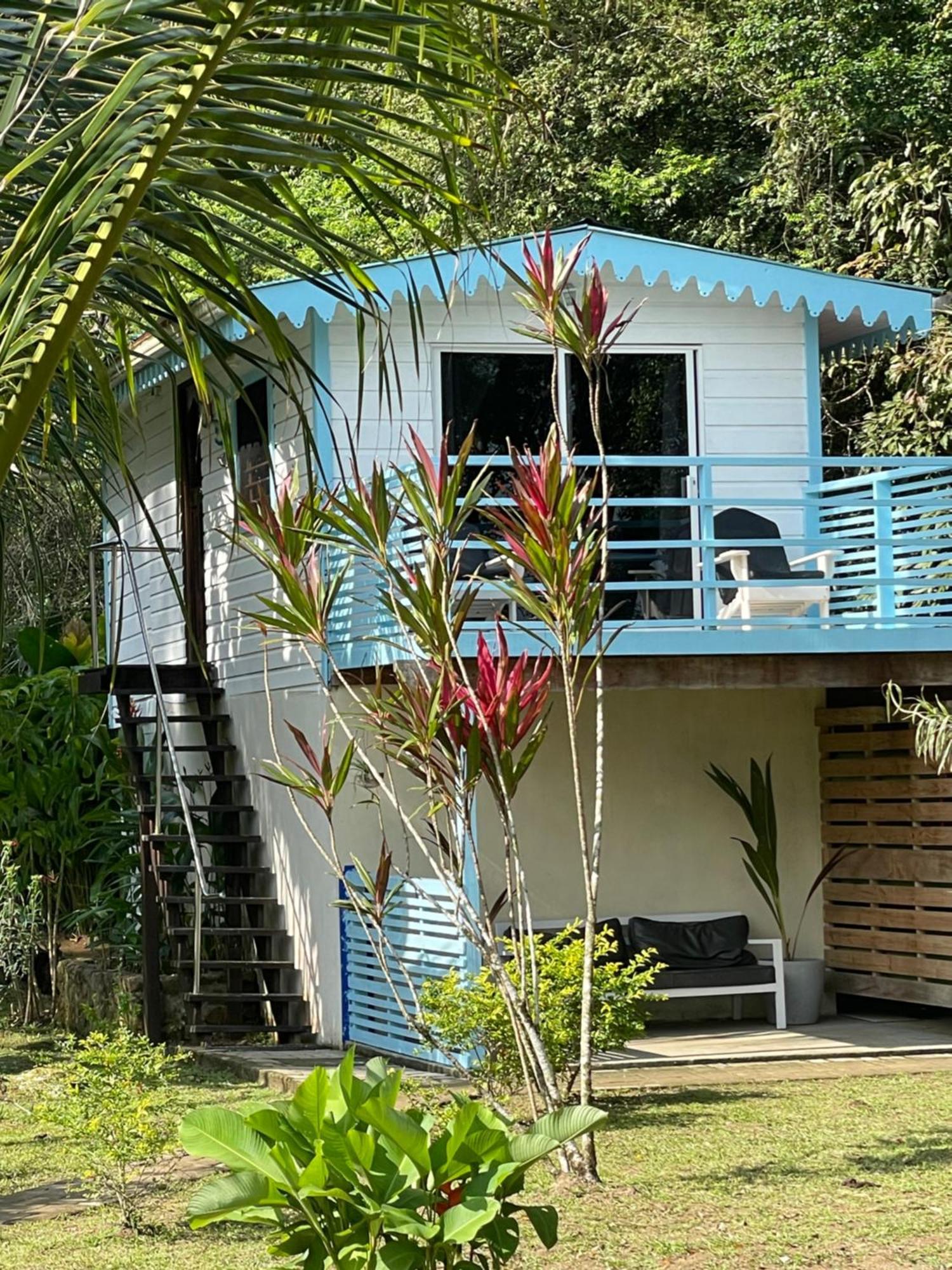 Dolphin Blue Paradise Bocas del Toro Buitenkant foto