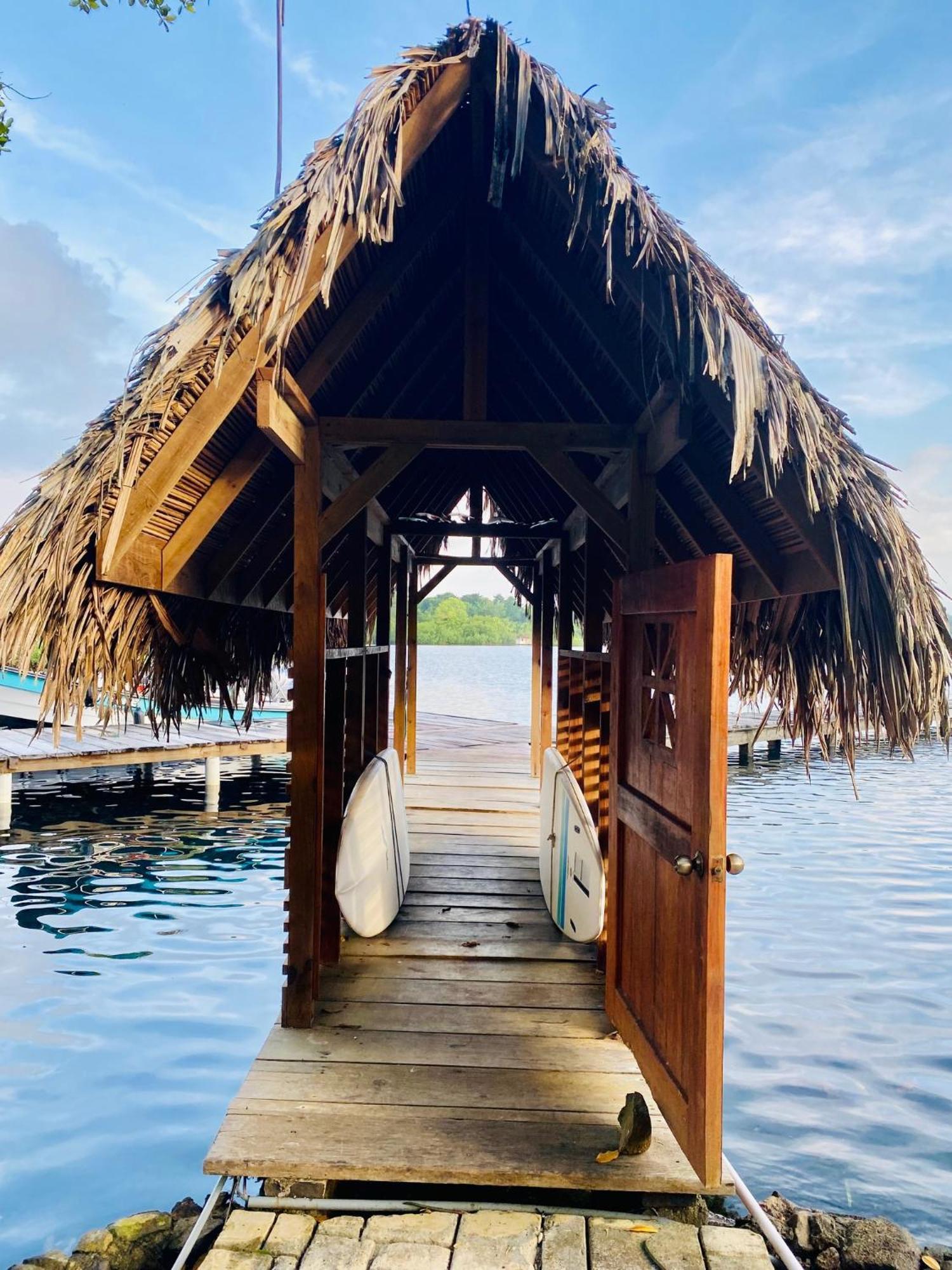 Dolphin Blue Paradise Bocas del Toro Buitenkant foto