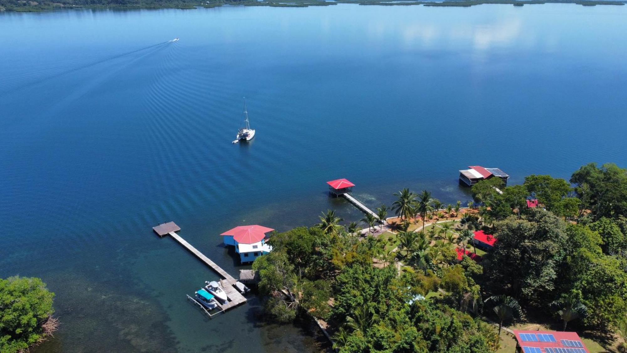 Dolphin Blue Paradise Bocas del Toro Buitenkant foto