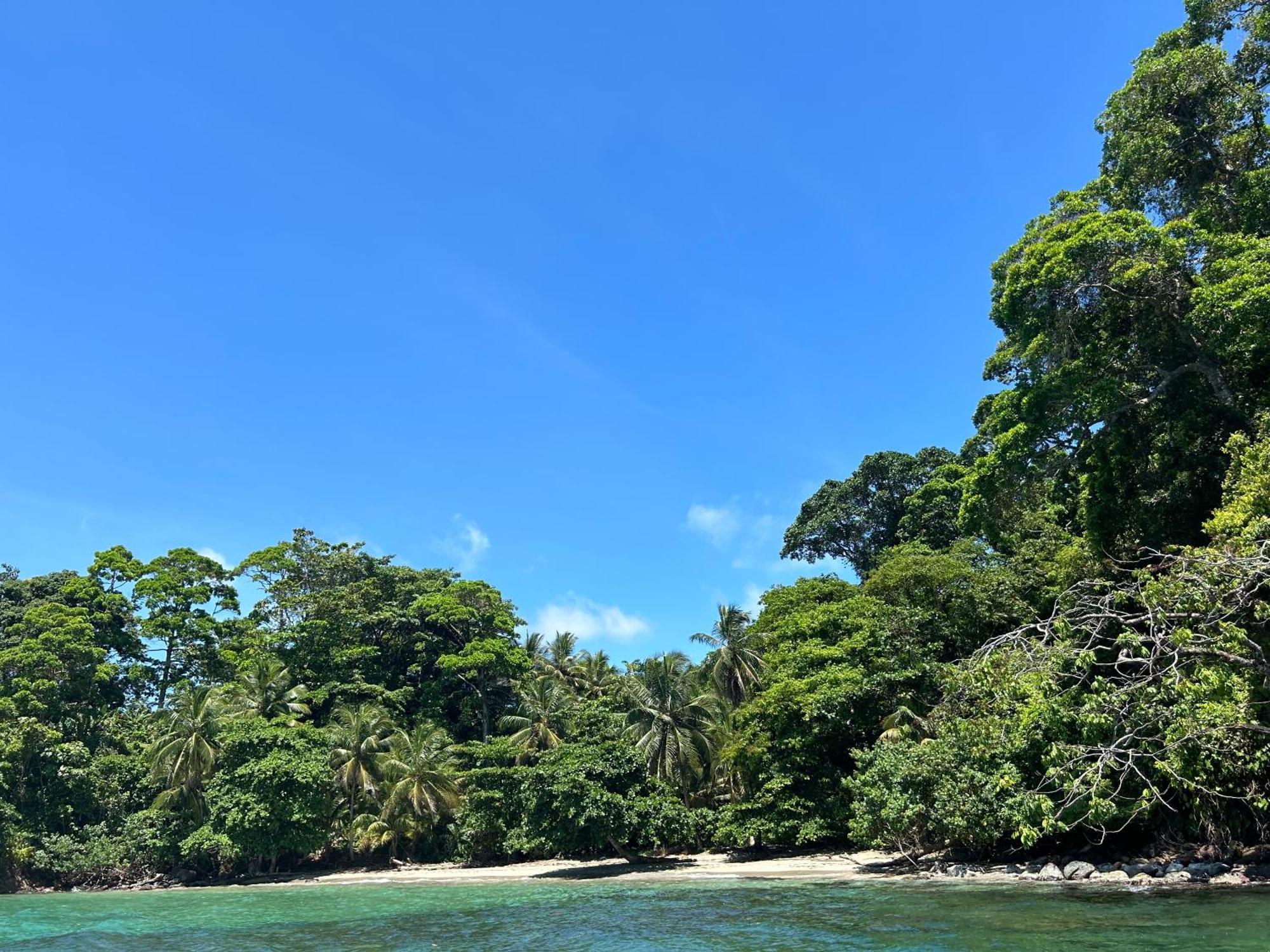 Dolphin Blue Paradise Bocas del Toro Buitenkant foto